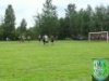 Karny  dla Olsza